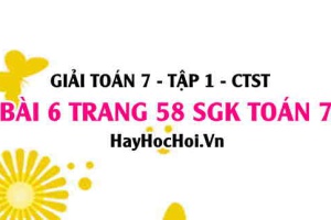 Giải bài 6 trang 58 Toán 7 Tập 1 SGK Chân trời sáng tạo